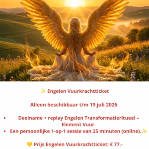 Engelen Transformatie Vuurkrachtticket